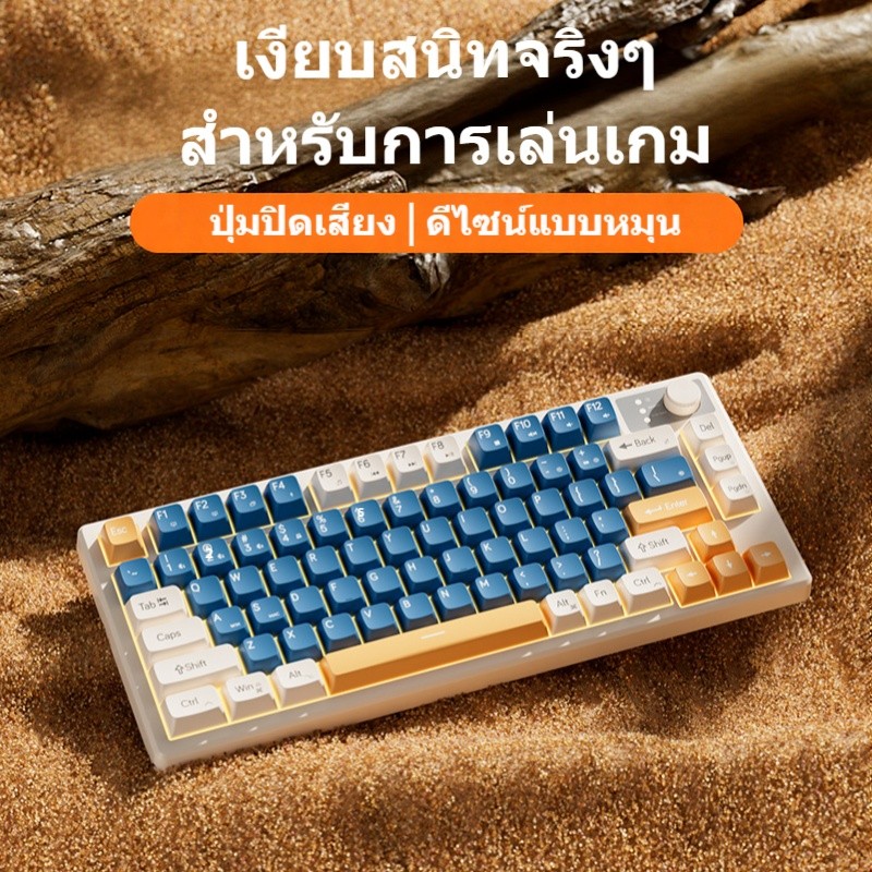 Dream Family Z75 เกมสําหรับเล่นเกมเฉพาะโน้ตบุ๊คเงียบคีย์บอร์ดเมาส์ชุดคอมพิวเตอร์สํานักงานแบบมีสายขนา