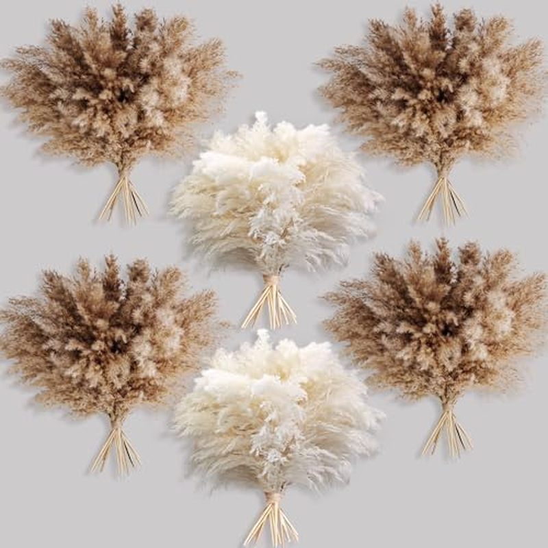 30 ชิ้น Boho Decor, Fluffy Pompas Grass, Natural Dry Pampas Grass S, Short Pampas Bulk for Boho Room