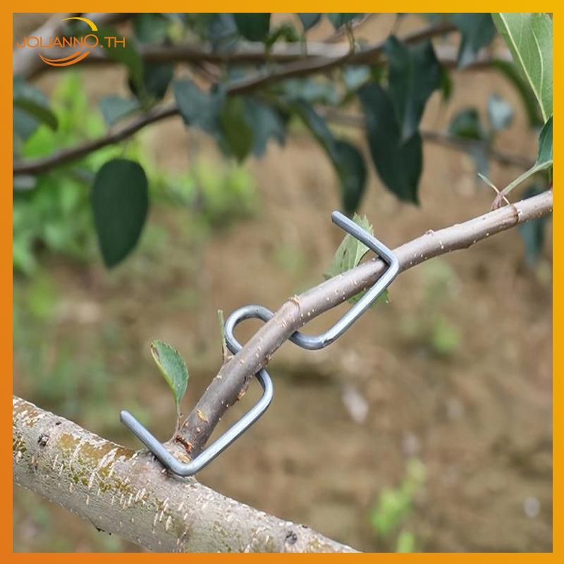 Joliann0 ผลไม้สาขาต้นไม้สนับสนุน Fixator M-รูปลวดเหล็กพืช Vine Trainer เครื่องมือ th