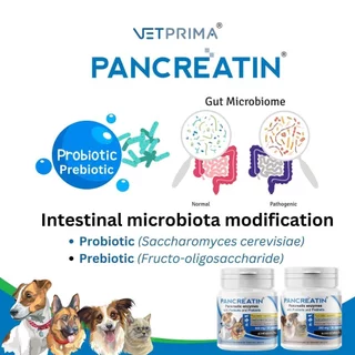 Pancreatin [แท้💯] ผลิตภัณฑ์เอ็นไซม์เสริมอาหาร สำหรับสุนัขและแมวที่มีภาวะตับอ่อนอักเสบ (แพนครีเอทิน) 30 แคปซูล (LYPEX)