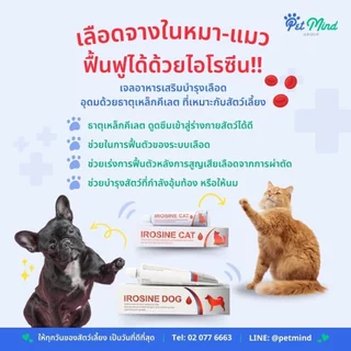 IROSINE CAT & DOG [แท้💯] อาหารเสริมธาตุเหล็กบำรุงเลือด ช่วยกระตุ้นภูมิคุ้มกัน สำหรับสุนัขและแมว
