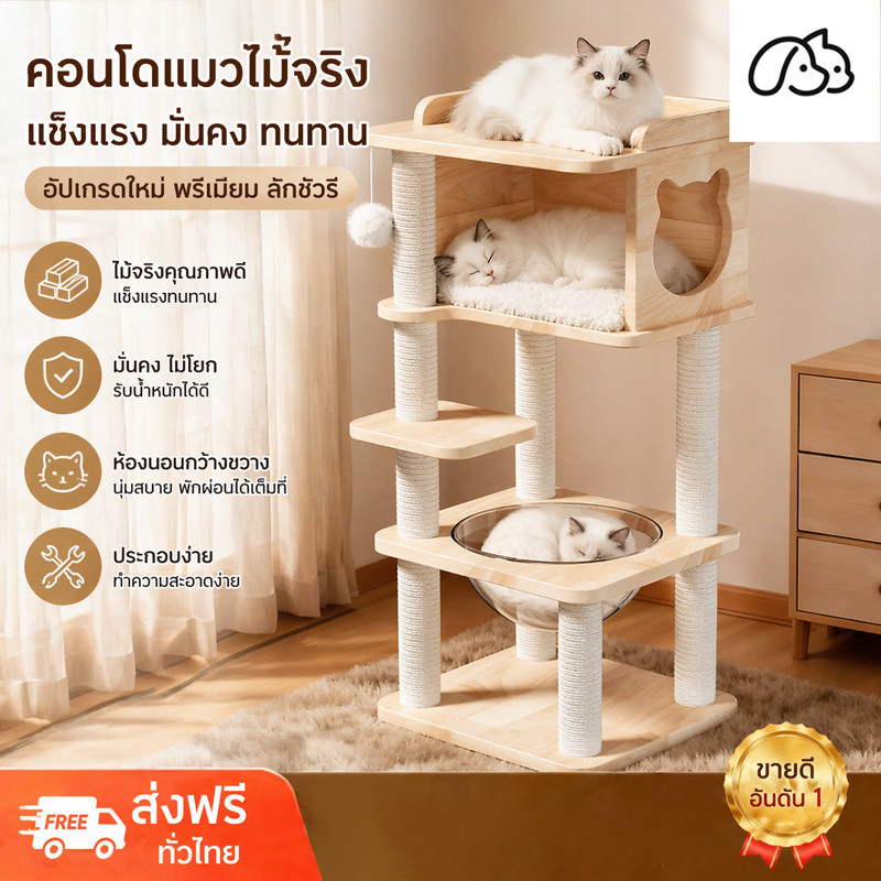 คอนโดแมวหลุมแมว บ้านแมว เหมาะสำหรับเลี้ยงน้องแมว 2-3ตัว แมวที่มีขาสั้น ขนาดใหญ่ ทำจากไม้เนื้อแข็ง