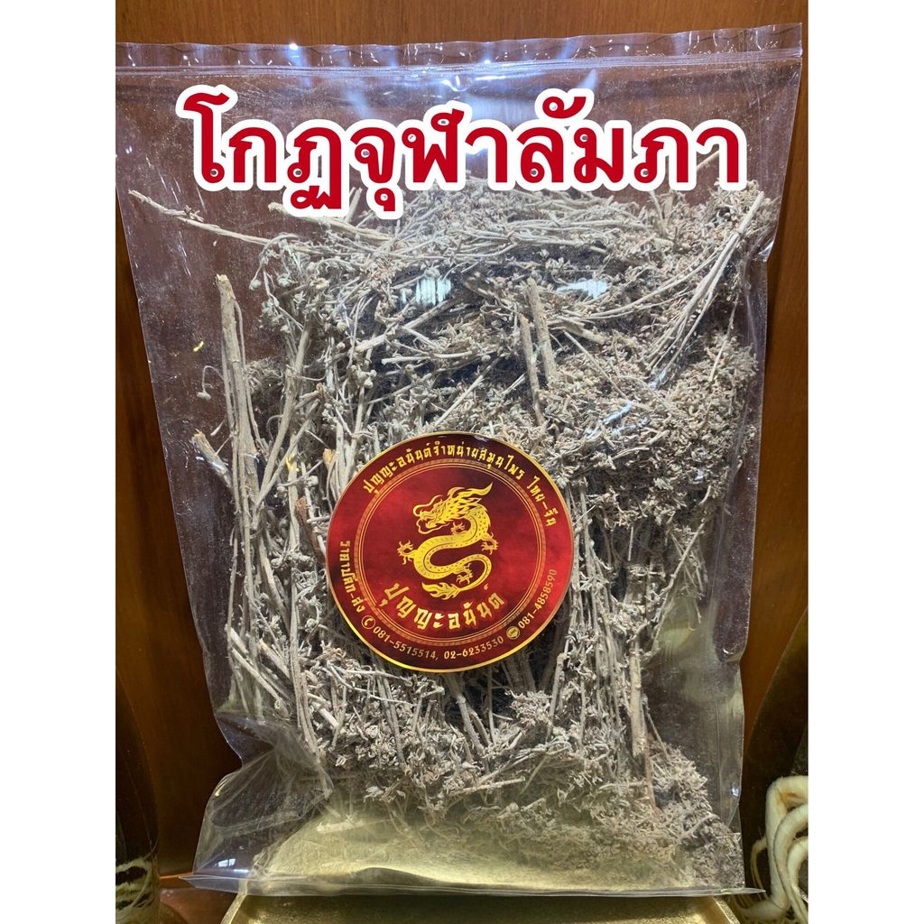 โกฐจุฬาลัมพา โกฐจุฬาลัมพา โกฐจุฬาลัมพา โกฐจุฬา โกฏจุฬารัมภา โกฐจุฬาลัมพา โกฏจุฬารัมภา โกฏจุฬา โกดจุฬาขนาดบรรจุ500กรัมราค