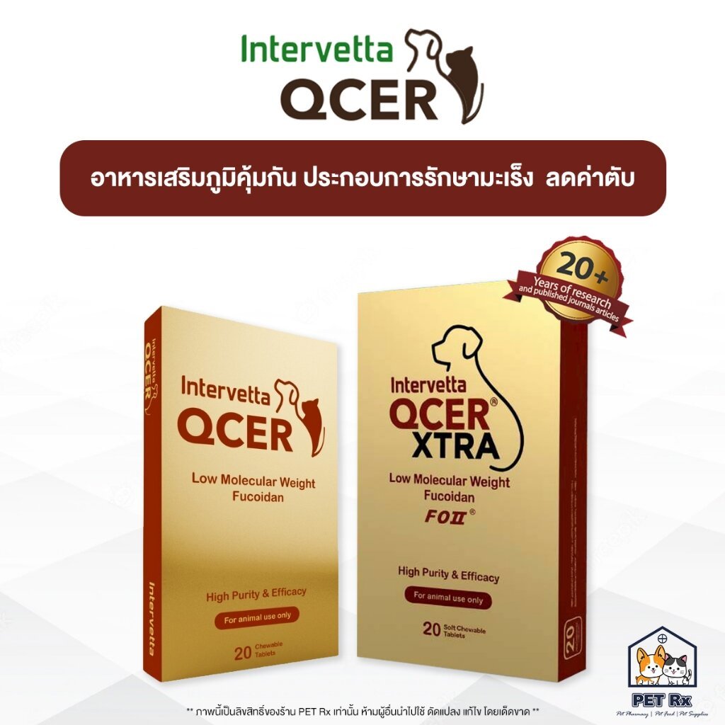 QCER [แท้💯] อาหารเสริมต่อต้านมะเร็ง (คิวเซอร์) เสริมภูมิคุ้มกันและปรับสมดุลร่างกาย (1 กล่องบรรจุ 20 เม็ด)