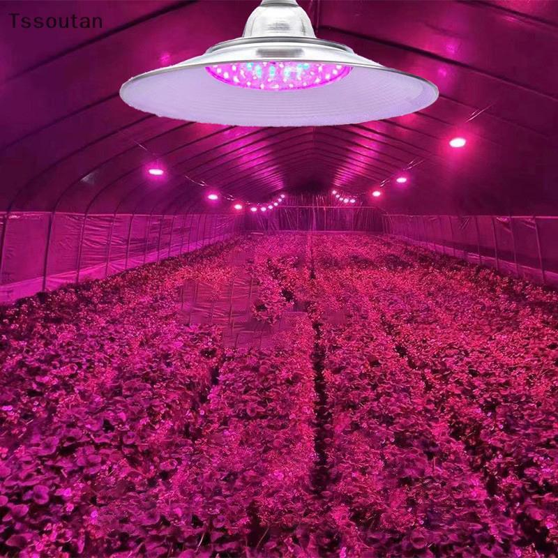 [TSST] โคมไฟเสริม LED ระดับมืออาชีพสําหรับผักและหลิงการเพาะปลูกในเรือนกระจกผัก TAN