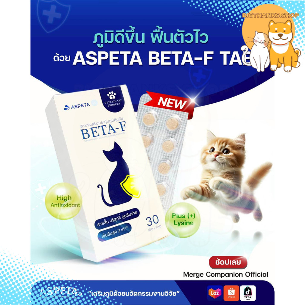 [exp 15/09/26] ASPETA BETA-F อาหารเสริมกระตุ้นภูมิคุ้มกัน [30 เม็ด] สำหรับน้องหมาน้องแมว