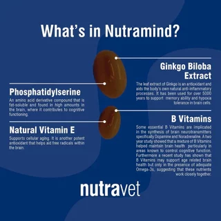 Nutravet [แท้💯] Nutramind / Nutraren / Nutracalm / Nutracys+ / Nutramarin+ / Nutraquin อาหารเสริมที่สัตวแพทย์แนะนำ 🇬🇧