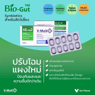 V-MaX : Bio-Gut / Veron [แท้💯] นวัตกรรมอาหารเสริม ปรับสมดุลทางเดินอาหาร / บำรุงและฟื้นฟูสัตว์ป่วย สำหรับสัตว์เลี้ยง