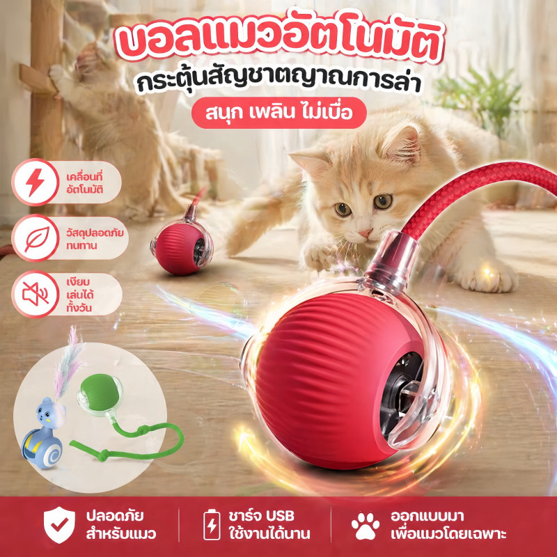 พร้อมส่ง! ของเล่นแมวอัตโนมัติ ไล่ล่าของเล่นขนนก ของเล่นแมวตลก เพื่อนเล่นแสนสนุกสำหรับแมวของคุณ