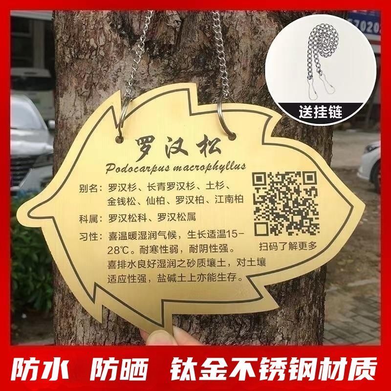 【现货】树牌定制不锈钢挂牌校园景区公园树名挂牌花草标识牌树木介绍Flower and grass signs, acrylic tree signs, green signage, tree intr