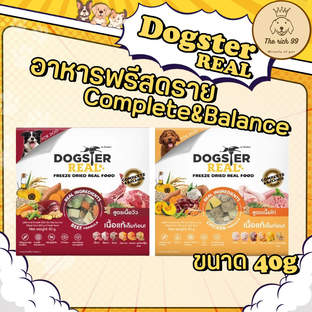 (ถ้วย) Dogster Real ด็อกสเตอร์ เรียล อาหารฟรีซดราย สูตรเนื้อวัว เนื้อไก่ อาหารมื้อหลักสุนัข 40g