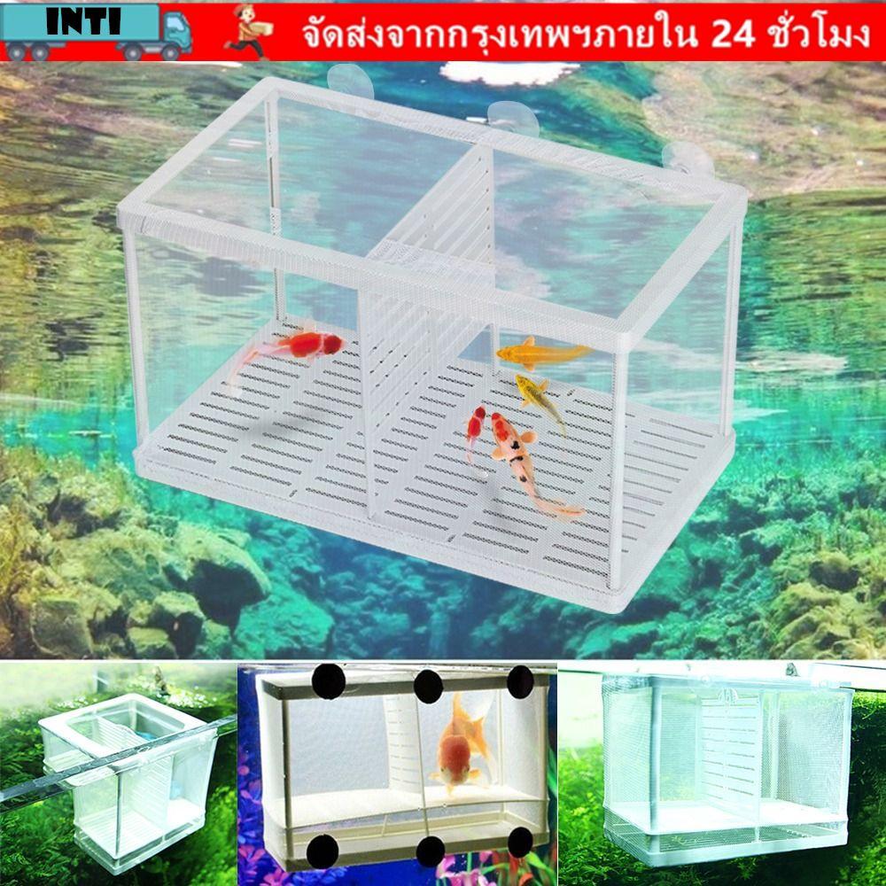 INTI Aquarium Incubator Breeder Guppy Rearing Hatchery
