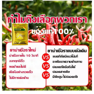 ซื้อ1 แถม1🌶️วัคซีนพืชป้องกันโรคพริกเน่า โรคกุ้งแห้ง ผลเน่า โคนเน่า ใบหยิก ใบเหลือง โรคพริก เชื้อรา เชื่อไวรัส