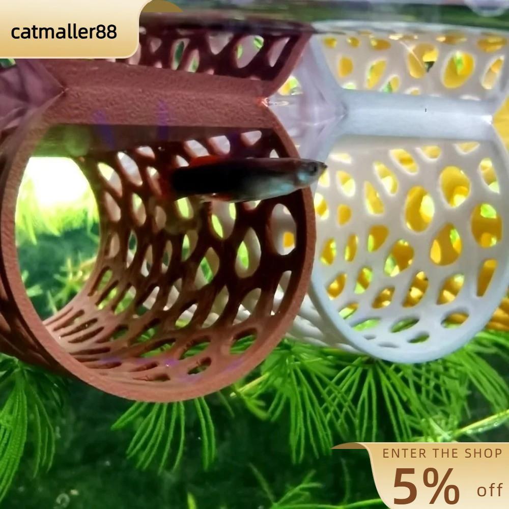 CATMALLER88 ถ้ําไหลย้อนปลา, อุโมงค์ตู้ปลา - พิมพ์พิพิธภัณฑ์สัตว์น้ําปลา Hideout Hollow Tube, ไม้ประด