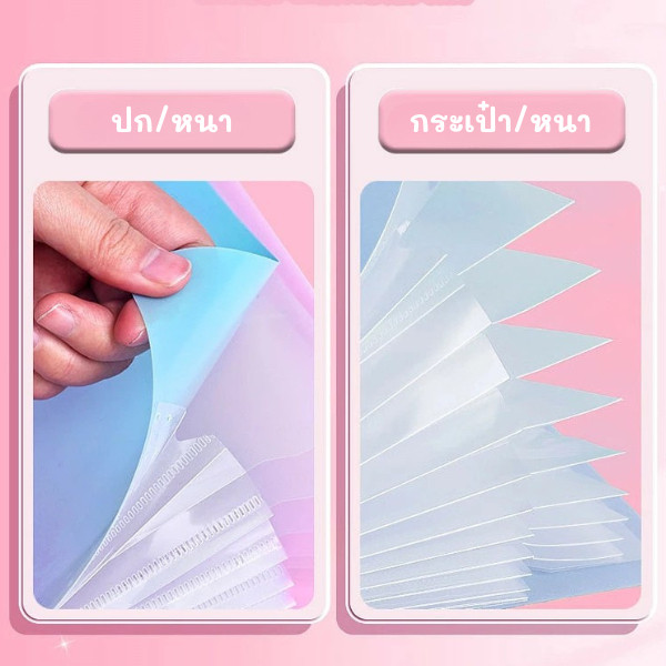 Sunflower66 กระเป๋าเอกสาร กระเป๋าใส่เอกสาร 5/12ช่อง รูปที่ 4