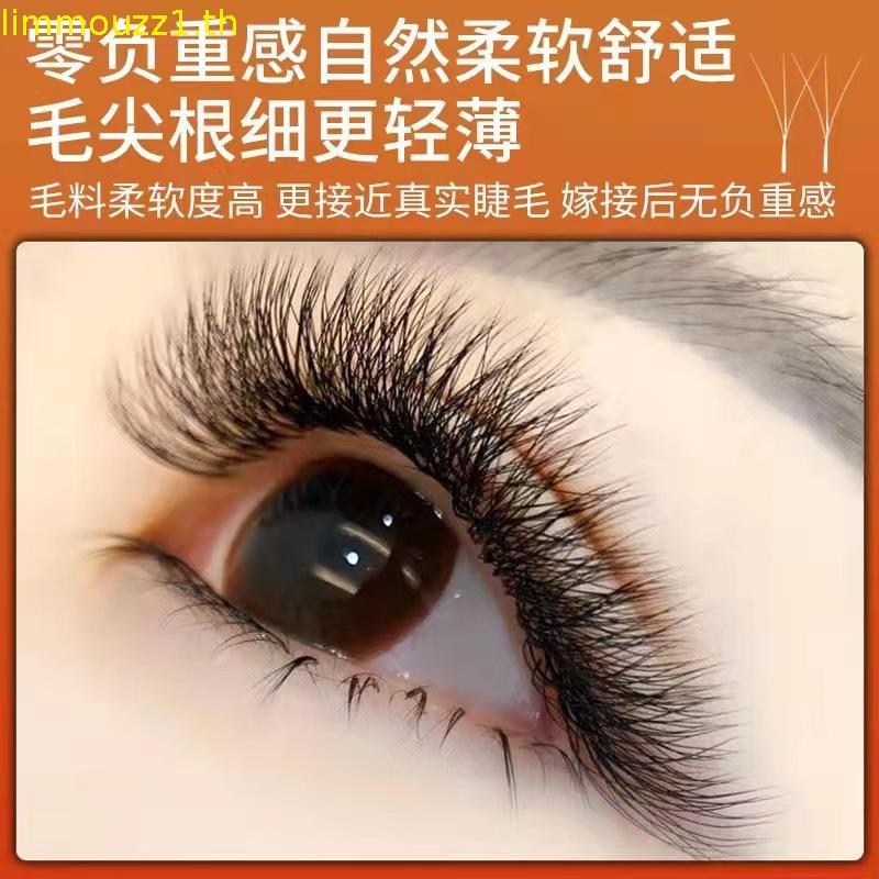 Root Super Soft Blossoming 3d Grafting y Eyelash Fairy Clover ผสม 0.03 แพ็คเดี่ยวเฉพาะขนตาหนา Shop B