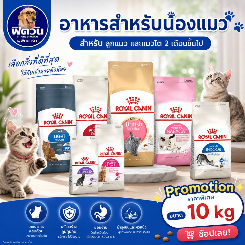 ROYAL CANIN อาหารลูกแมว แมวโต1ปีขึ้นไป สำหรับแมวทุกสายพันธุ์ 10 กก.{อาหารแมวเม็ด}