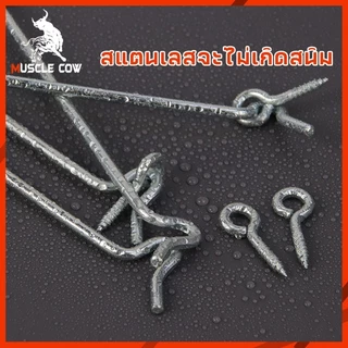 MUSCLE COW ตะขอหน้าต่าง 6 นิ้ว 4PCS เหล็กชุบสังกะสี แข็งแรง ทนทาน ใช้งานกั้นหน้าต่างและป้องกันการเปิดออก