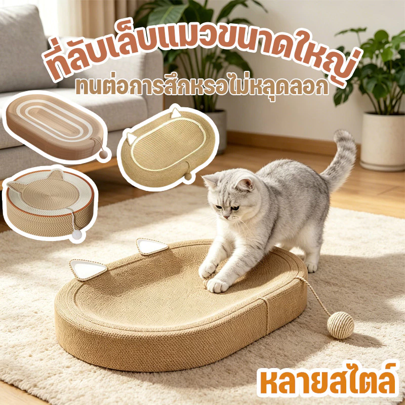 NEW ของเล่นแมว ลับเล็บแมว ฝนเล็บแมว 3in1ที่ฝนเล็บ ลับเล็บ สามารถใช้เป็นครอกแมวได้ มีหลายสไตล์