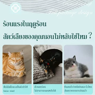 BHQ ที่นอนสัตว์ฤดูร้อน เบาะเย็นแมว Pet Cool mat ที่นอนเย็น ลดความร้อน 3 มิติ บ้านสุนัข บ้านแมว พร้อมผ้าบุดบุดเย็นไอซ์