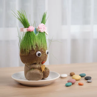 ตุ๊กตาหัวหญ้า หญ้าแมว ตุ๊กตาหญ้า diy ปลูกหญ้า ของขวัญ แต่งโต๊ะ ของเล่นเด็ก ตัดผมได้