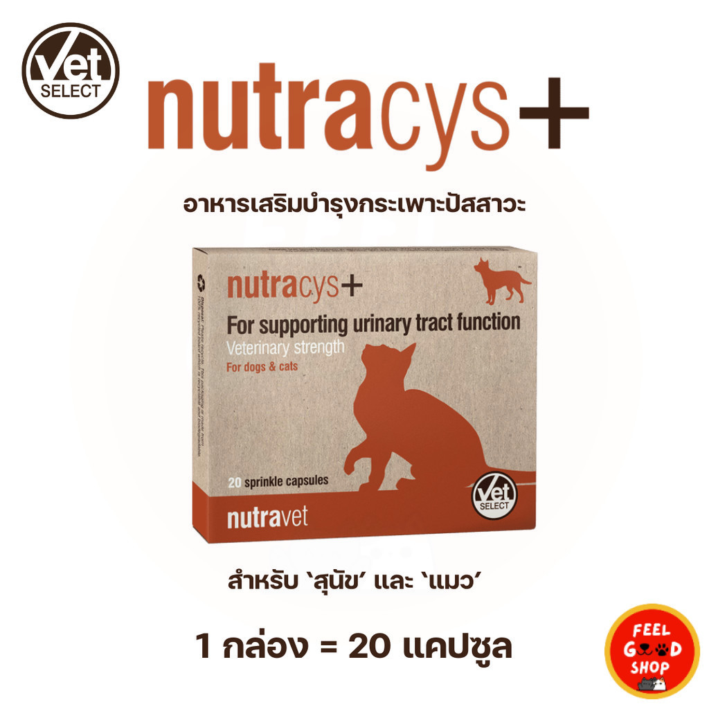 (exp 05/28) Nutracys+ (20 แคปซูล) อาหารเสริมบำรุงระบบทางเดินปัสสาวะ สำหรับสุนัข&แมว