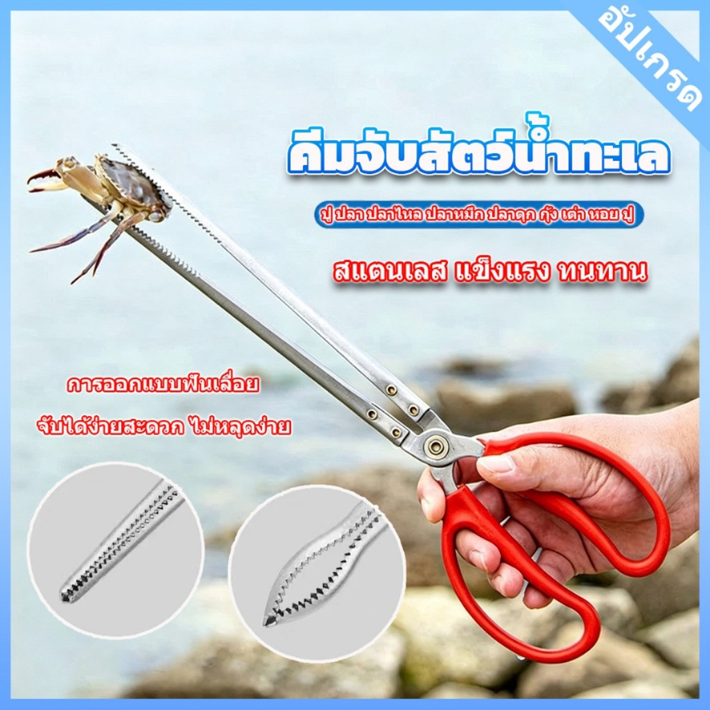 52/62ซม.คีมจับสัตว์น้ำ กรรไกรสแตนเลสคีปปู หนีบปลา ปู ใช้งานง่าย ป้องกันการลื่นไหล