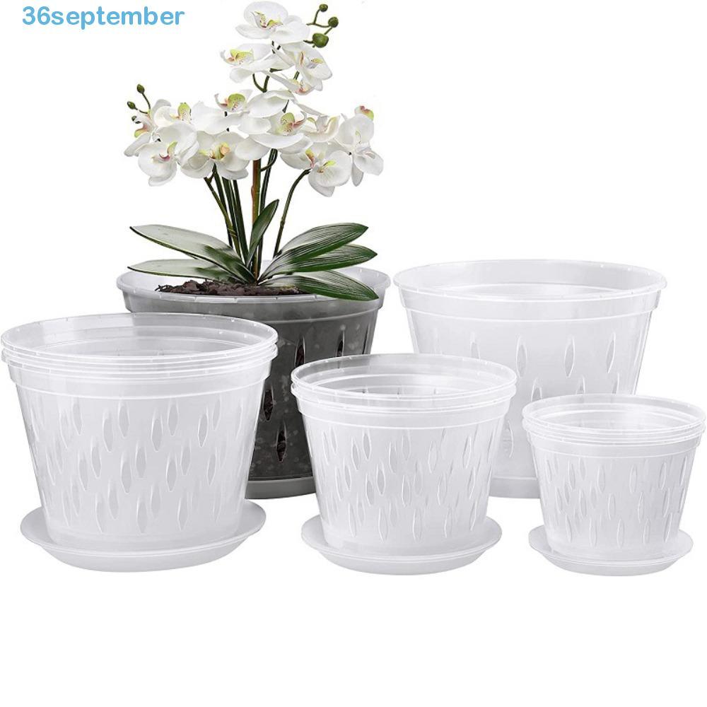 SIPTEMBER Orchid Pot Root Control Good Air Flow โปร่งใสพร้อมรูและถาด Stomata สําหรับ Phalaenopsis Or