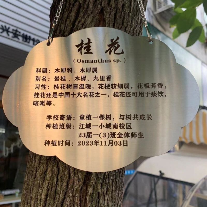 【现货】树牌挂牌防水树木标识牌花草牌不锈钢树牌树木介绍悬挂牌定制Flower and grass signs, acrylic tree signs, green signage, tree intr