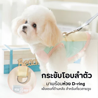 【ลดเหลือ 79】เสื้อกั๊กสุนัขแมว CD06 ผ้าIce Silk เย็นสบาย มีD-ring ไม่ร้อน Pet Harness Vest