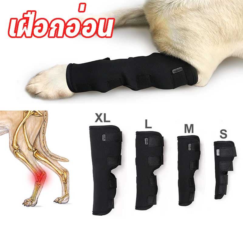 DogLemi ผ้ารัดขาสุนัข แบบยาว เฝือกอ่อน บรรเทาอาการข้อขาอักเสบ ผ้ารัดขาสุนัข เฝือกอ่อน ดามขาสุนัข