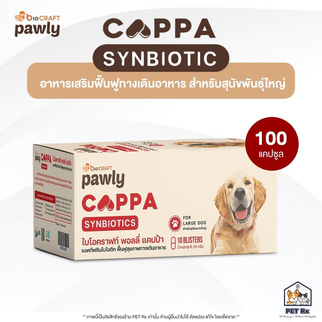[ยกกล่อง!] CAPPA : Synbiotic [แท้ ] อาหารเสริมแอคทีฟซินไบโอติก ช่วยฟื้นฟูทางเดินอาหารสำหรับสุนัขพันธุ์ใหญ่ (Pawly)