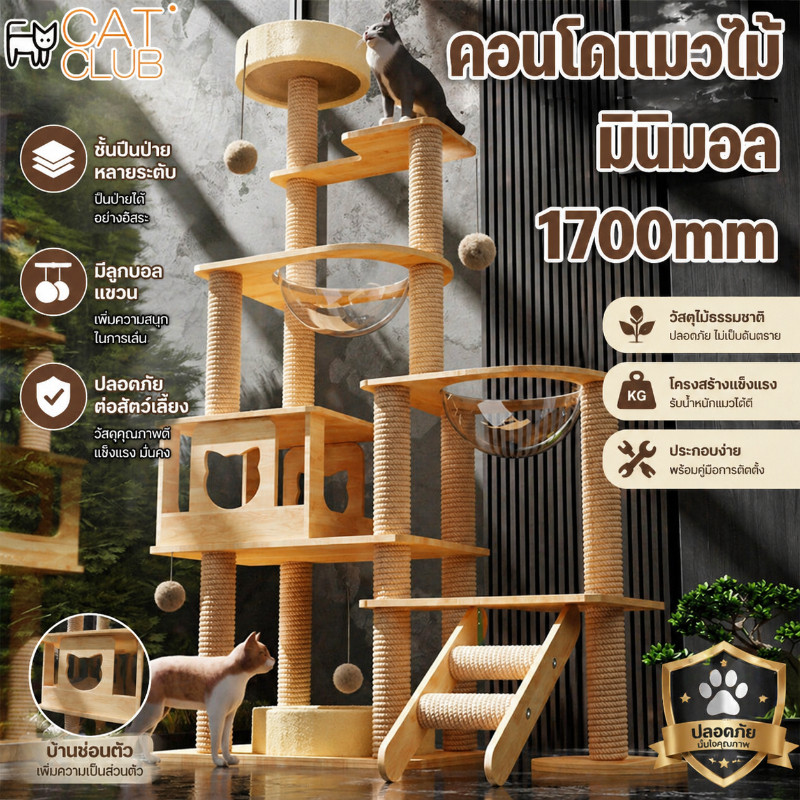 CAT CLUB คอนโดแมวหลังใหญ่หลายดีไซน์ ไม้สวยไร้เหลี่ยมคม คอนโดไม้ ที่นอนแมว คอนโดแมวไม้ มินิมอล
