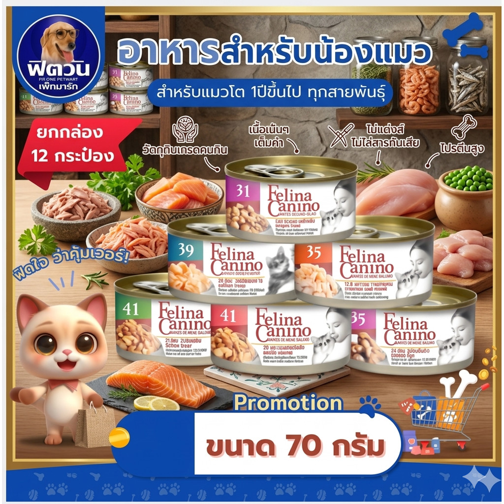 Felina Canio- แมว ไวด คอท ขนาด 70 กรัม ** 24 กระป๋อง **{อาหารเปียกแมว}