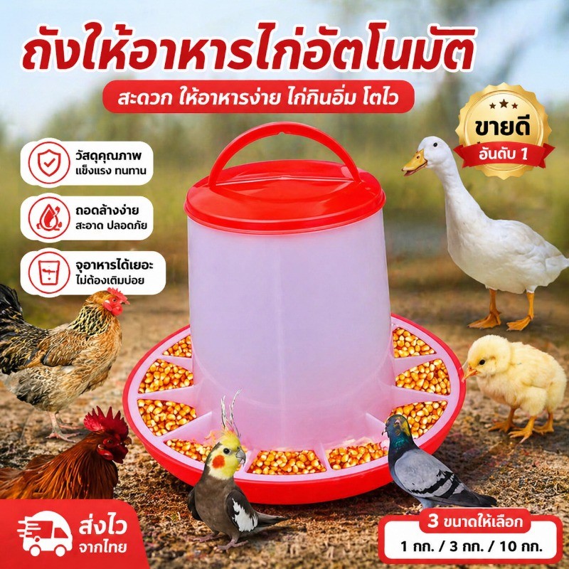 COD ถังให้อาหารไก่อัตโนมัติ ถังให้อาหารไก่  เครื่องให้อาหารไก่อัตโนมัติ ป้องกันไก่คุ้ยเขี่ย ประหยัดอาหาร