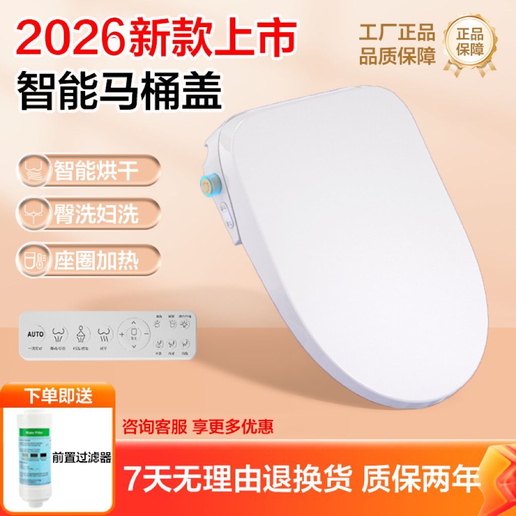 Smart Bidet Toilet Seat Remote Control Heated Seat Instant Warm Water Dryer Universal