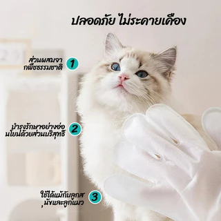 ถุงมือทำความสะอาดสัตว์เลี้ยง บรรจุ 6 pieces เป็นการล้างตัวและการฆ่าเชื้อ ให้ความชุ่มชื้นยาวนาน ขจัดกลิ่น