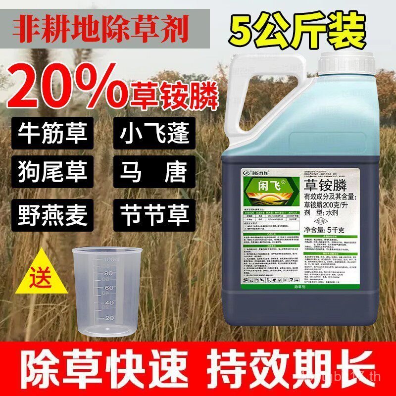 หญ้าแอมโมเนียฟอสฟอรัส Leisure Flying Grass Ammonium Phosphorus Wildland Tea Garden Orchard Weed Xiao
