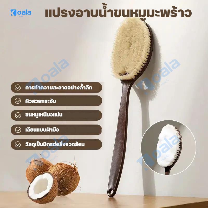 แปรงอาบน้ำพร้อมขนแปรงมะพร้าวและขนหมูป่านยาว ดีไซน์ 2 in 1 แปรงแห้งและเปียก เลียนแบบด้ามยาวโค้งมน ของใช้ในบ้าน แปรงอาบน้ำ
