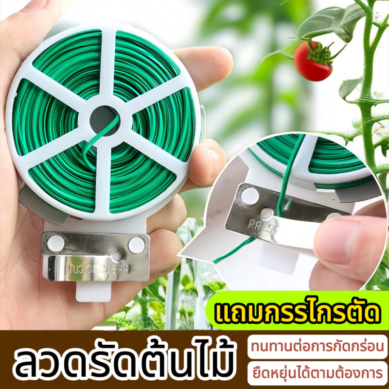 ส่งไว|ถูก 20/50/100/200เมตร ลวดเขียวเอนกประสงค์ ลวดรัดต้นไม้ ลวดผูกลวด ลวดผูกพลาสติก ลวดเคลือบพลาสติก