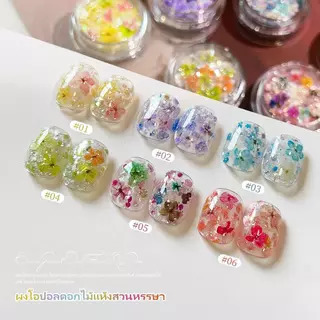 Miss Gooey ดอกไม้แห้งตกแต่งเล็บเจล ชุดดอกไม้ประดับเล็บหลายเฉดสี สวยละมุน ง่ายใช้ ทำเล็บDIYที่บ้าน ร้านทำเล็บมืออาชีพ