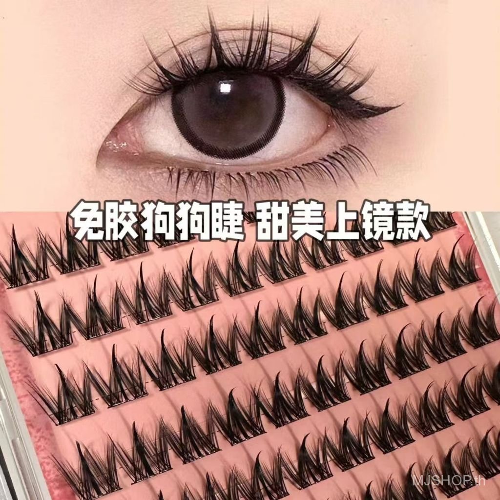 [สต๊อกพร้อม] MJshop 100 Clusters ความจุขนาดใหญ่ชุดสุนัขปลอดกาวขนตาปลอมขี้เกียจหนาธรรมชาติจําลอง