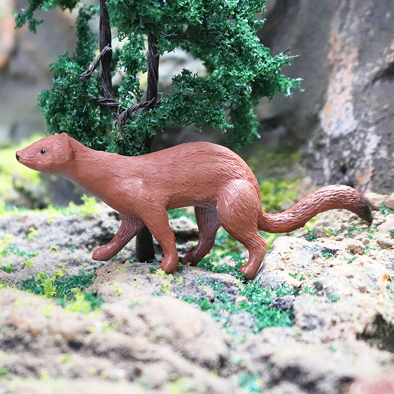 ของเล่นเด็กการศึกษาวิทยาศาสตร์ความรู้ความเข้าใจจําลองสัตว์ป่ารุ่น Solid Weasel หมาป่า Weasel สีเหลือ