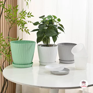 [ LYP ] กระถางลายคลื่นพร้อมจานรอง กระถางพลาสติก แคคตัส กระบองเพชร ไม้อวบน้ำ Cactus&Succulent