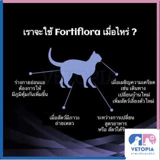 <1 กล่องมี 30 ซอง> Proplan Fortiflora อาหารเสริมโพรไบโอติกสุนัข&แมว ปรับสมดุลทางเดินอาหาร เสริมภูมิคุ้มกัน