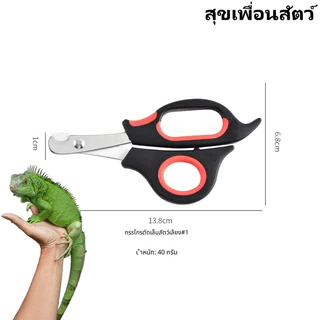✂️กรรไกรตัดเล็บสัตว์เลี้ยง🐱🐶ใช้ได้ทั้งหมาและแมว💎คุณภาพดี ทนทาน⚡พร้อมส่ง ส่งเร็ว