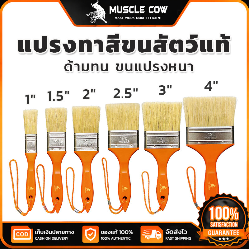MUSCLE COW แปรงทาสีขนสัตว์แท้ ขนแปรงหนาไม่หลุดร่วง ทาสีเรียบเนียน ด้ามทน ใช้งานทาสีและงานตกแต่ง
