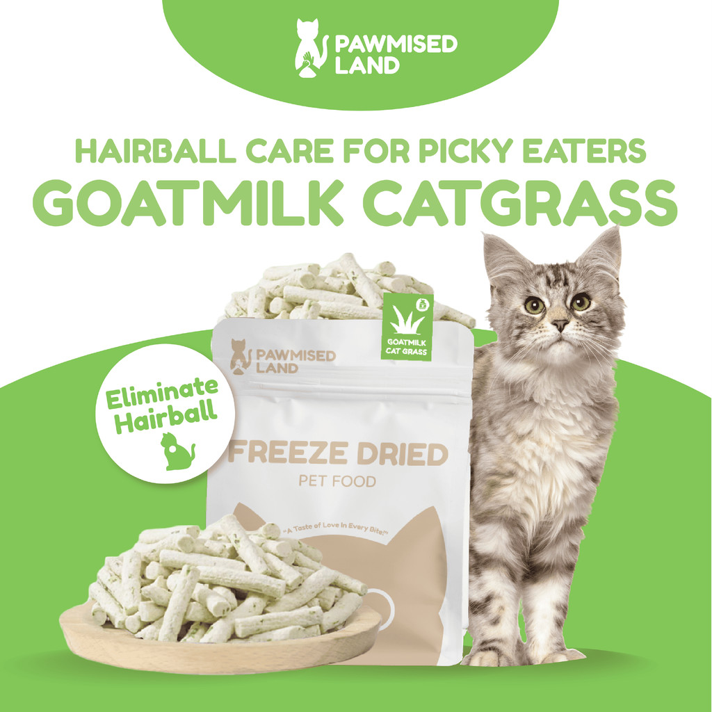 PawmisedLand Catty Munchies - Goatmilk Catgrass - ฟังก์ชั่นซีรีส์ - ฟรีซดราย 125g อาหารสัตว์เลี้ยง อ