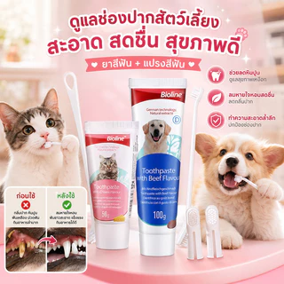 ชุดแปรงฟันสัตว์เลี้ยง แปรงฟันหมา แปรงฟันแมว แปรงสีฟัน+ยาสีฟัน สามารถกลืนกินได้ ลดการสะสมของแบคทีเรีย