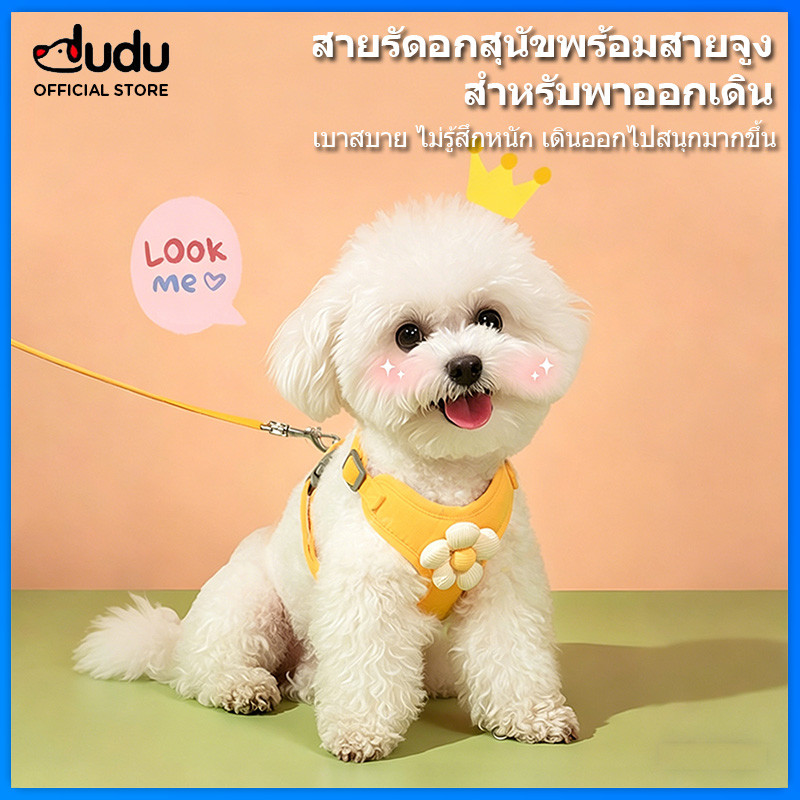 DUDU Pet Cute Flower Dog Harness and Leash Set - Breathable Mesh No Pull Vest Harness for Small Dogs